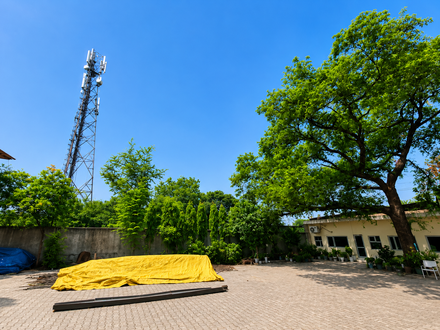 Sustainable growth and nature