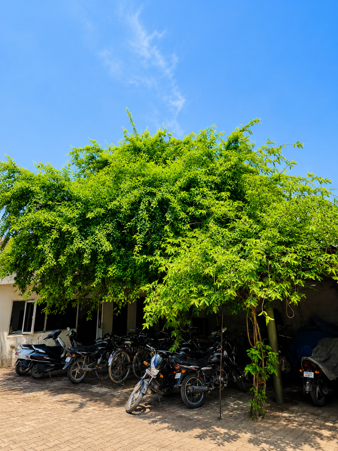 BS Steel Industries commitment to sustainability